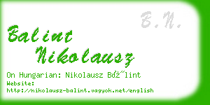 balint nikolausz business card